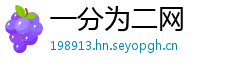 一分为二网